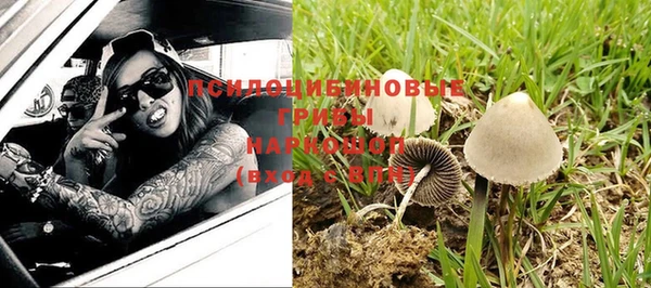 герыч Ладушкин