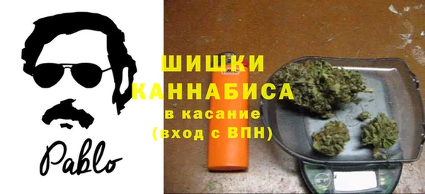 PSILOCYBIN Краснотурьинск