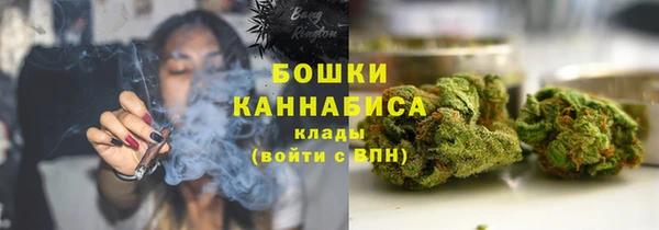 PSILOCYBIN Краснотурьинск