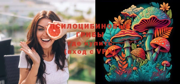МДПВ Краснослободск